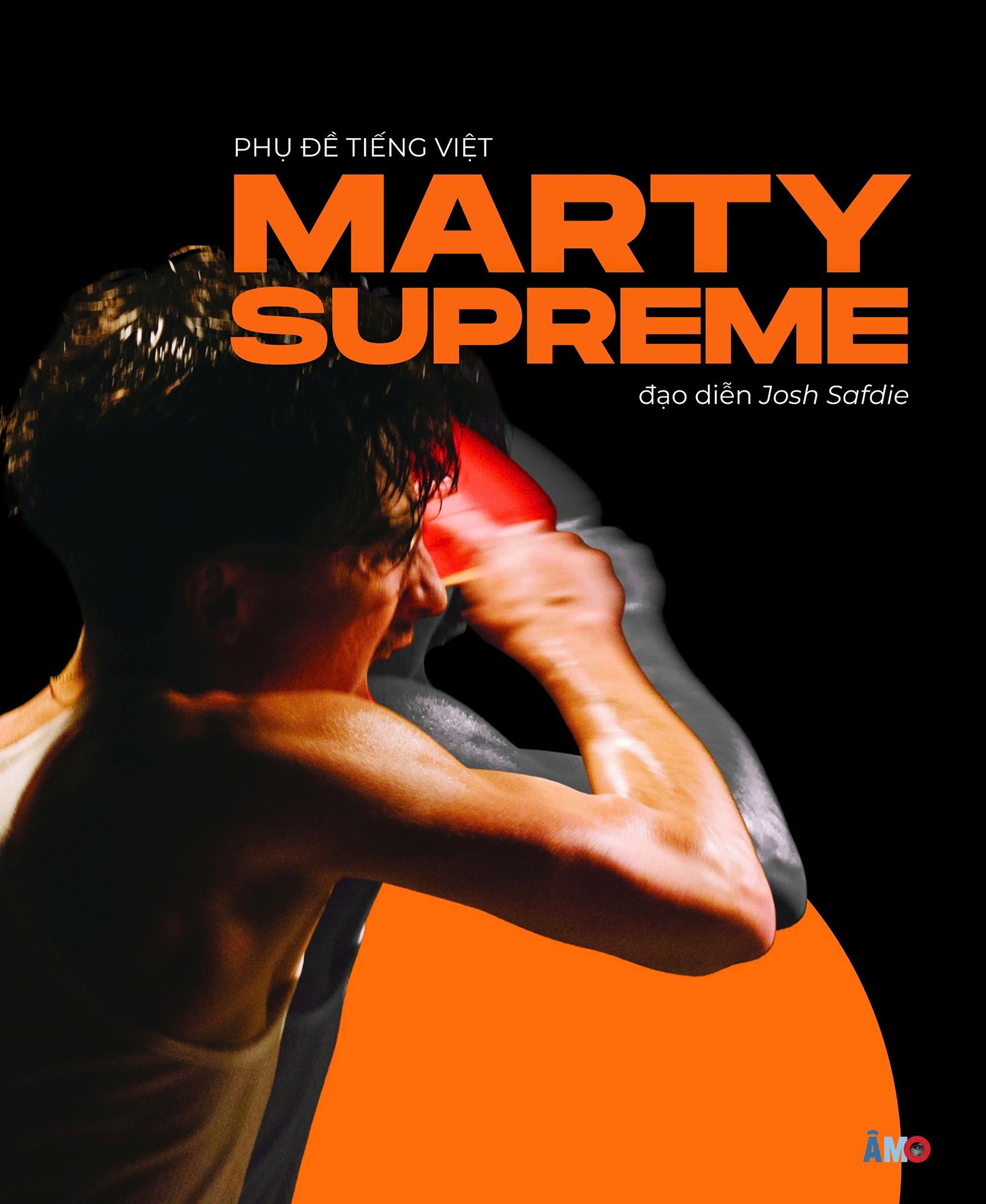 Ảnh bài đăng PHỤ ĐỀ TIẾNG VIỆT • MARTY SUPREME