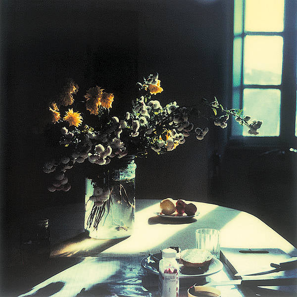 Ảnh bài đăng BỘ ẢNH POLAROID CỦA ĐẠO DIỄN ANDREI TARKOVSKY