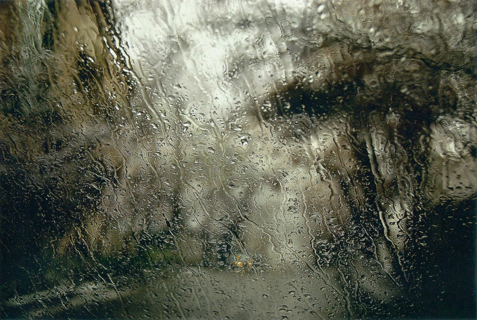 Ảnh bài đăng BỘ ẢNH NGÀY MƯA CỦA ĐẠO DIỄN ABBAS KIAROSTAMI